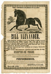 Printed by Central Missourian, California, Mo.Title: Stud horse poster offering Bill Alexander, with cut of stallion, March 20, 1868