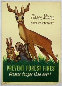 1943; When Walt Disney's Bambi came out in 1942, Disney gave the USDA/National Forest Service rights to use Bambi's image in the their Wild Fire Prevention Program for one year. Poster of Walt Disney's Bambi with a rabbit and a skunk standing in grass. Poster reads "Please, Mister, Don't Be Careless. Prevent forest fires. Greater danger than ever!" This poster is held in the National Agricultural Library in Beltsville, MD.