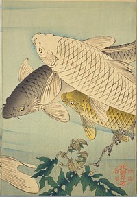 Ukiyo-e prints by Tsukioka Yoshitoshi.