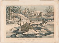 Moose and wolves a narrow escape between 1850 and 1900 by Currier & Ives