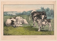 Our pasture between 1835 and 1856 by N. Currier