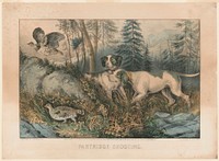 Partridge shooting (1870) by Currier & Ives