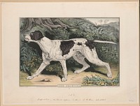 The pointer (1848) by N. Currier