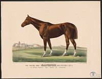 The racing King salvator, mile record 1:35 12: by Prince Charlie Dam Salina by Lexington (1890) by Cameron, John