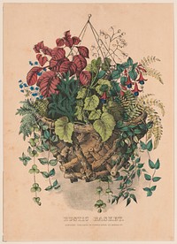 Rustic basket between 1856 and 1907 by Currier & Ives