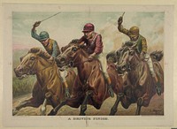 Horse Racing The Finnish by Michael Collins