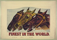 Finest in the world (1885) by Currier & Ives