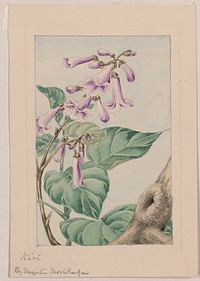 Kiri branch with flowers and leaves during 1870&ndash;1880 by Megata Morikaga. 
