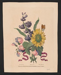 Sweet pea, hyacinth, sun flower  Thackara sc. between 1814 and 1817 J. Thackara & Son