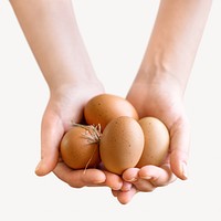Holding eggs, isolated design