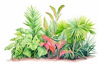 Tropical garden vegetation outdoors nature. AI generated Image by rawpixel.