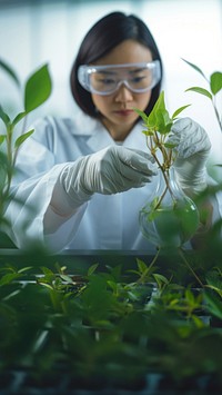 close up photo of modern crop science. AI generated Image by rawpixel. 