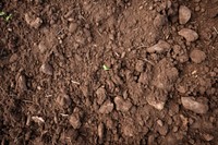 Healthy soil backgrounds outdoors nature. AI generated Image by rawpixel.