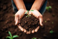 Healthy soil gardening planting outdoors. AI generated Image by rawpixel.