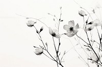 Autumn flowers outdoors blossom nature. AI generated Image by rawpixel.