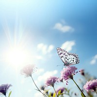 Butterfly flower sun sunlight. AI generated Image by rawpixel.