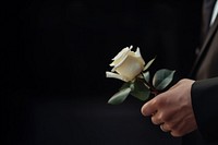 photo of hand in suit put white rose on a funeral casker.  