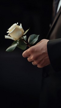 photo of hand in suit put white rose on a funeral casker.  