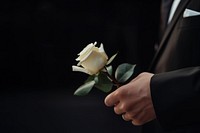 photo of hand in suit put white rose on a funeral casker.  