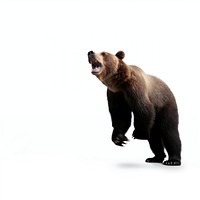 Grizzly bear wildlife mammal. AI generated Image by rawpixel.