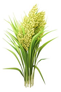 Rice plant wheat food. AI generated Image by rawpixel.