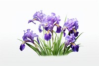 Plant illustration iris blossom flower. AI generated Image by rawpixel.