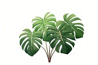 Plant illustration green leaf white background. AI generated Image by rawpixel.