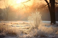 Winter season meadow landscape outdoors nature. AI generated Image by rawpixel.