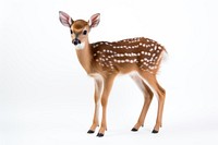 Little deer eating wildlife standing animal. AI generated Image by rawpixel.