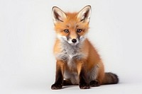 Little fox sit wildlife animal mammal. AI generated Image by rawpixel.