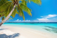 Sunny tropical caribbean beach outdoors tropics. AI generated Image by rawpixel.