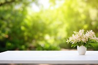 White table furniture blossom flower. 