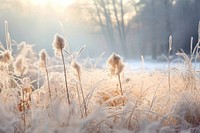 Winter season meadow outdoors nature plant. AI generated Image by rawpixel.