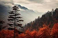 Autumn landscape mountain outdoors. 