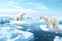 Polar bears animal wildlife nature remix