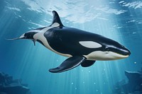 Orca whale marine life nature remix