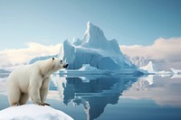 Polar bear iceberg animal wildlife nature remix