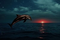 Dolphin jumping marine life nature remix