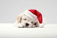 Puppy dog christmas mammal. AI generated Image by rawpixel.