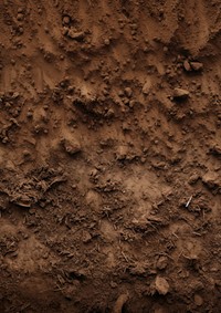 Soil outdoors texture nature. 