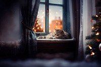 Sleeping cat during Christmas. 