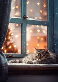 Sleeping cat during Christmas. 