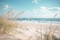 Beach background sky landscape outdoors. 