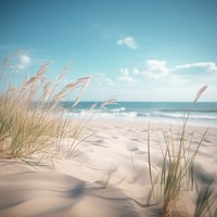 Beach background sky landscape outdoors. 