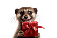 Animal raccoon holding mammal. AI generated Image by rawpixel.