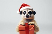 Animal christmas mammal gift. 