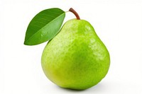 Single guava fruit plant pear. AI generated Image by rawpixel.