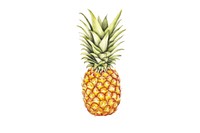 Pine apple pineapple fruit plant. AI generated Image by rawpixel.