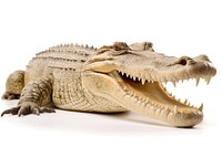 Caiman dinosaur reptile animal. AI generated Image by rawpixel.