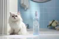 Bottle pet bathroom mammal. AI generated Image by rawpixel.